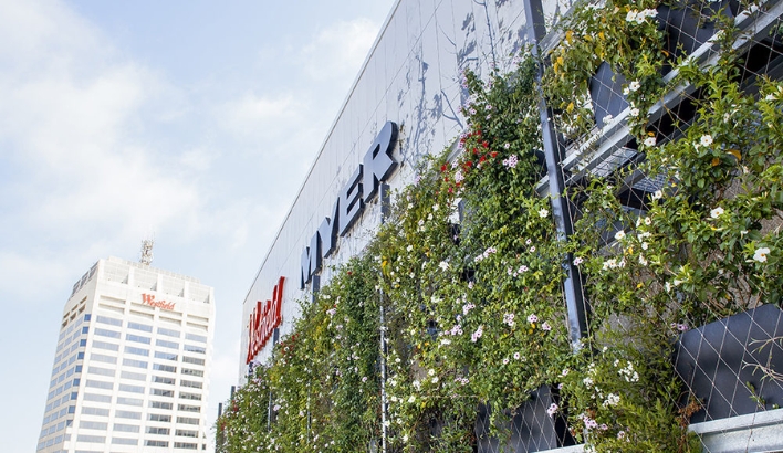 Trellis